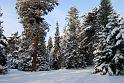 2010-12-02, Neuschnee (18)